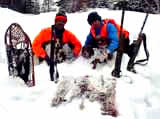 Tough Hunting in Deep Snow